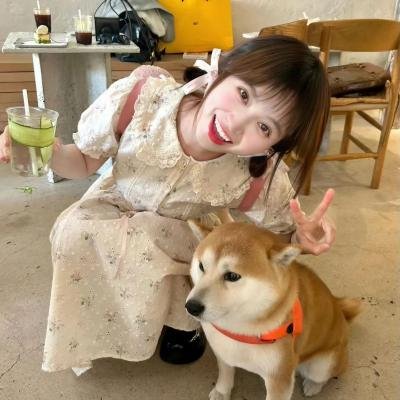 仇岗卫士
